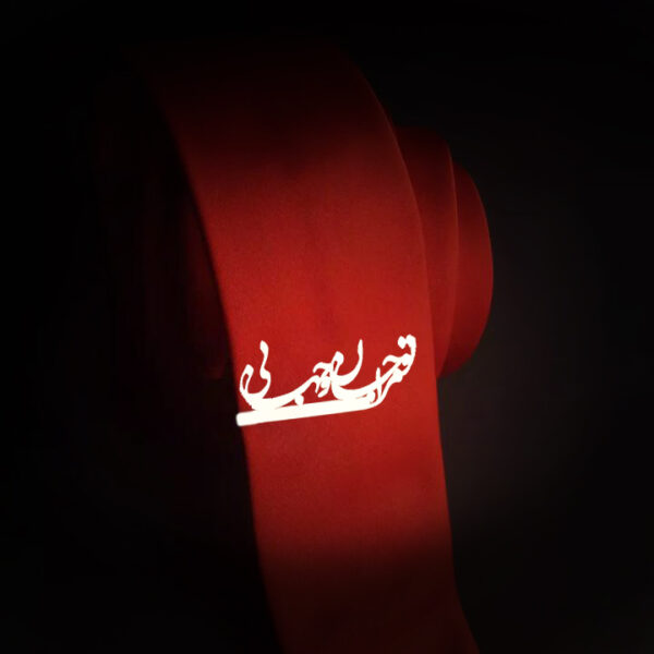 گیره کراوات تو مرا جان و جهانی